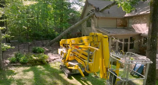 Emergency Tree Removal in Chattanooga