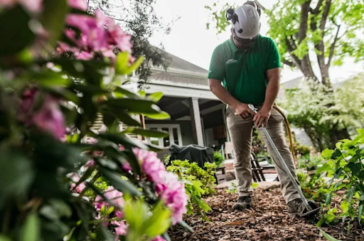 Arborist Care and Planting in Cleveland