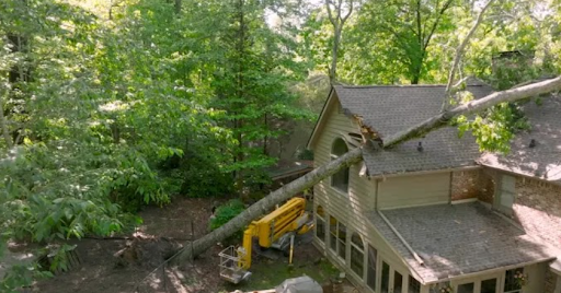 Emergency Tree Removal in Ringgold, TN
