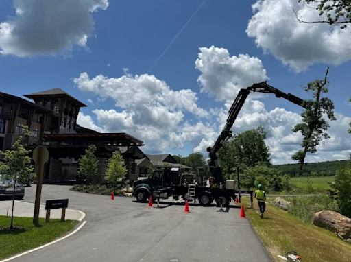 Ooltewah Crane-Assisted Tree Removal Service