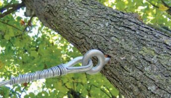 benefits of tree cabling