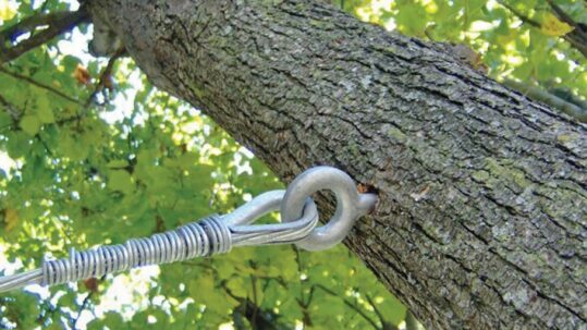 benefits of tree cabling​