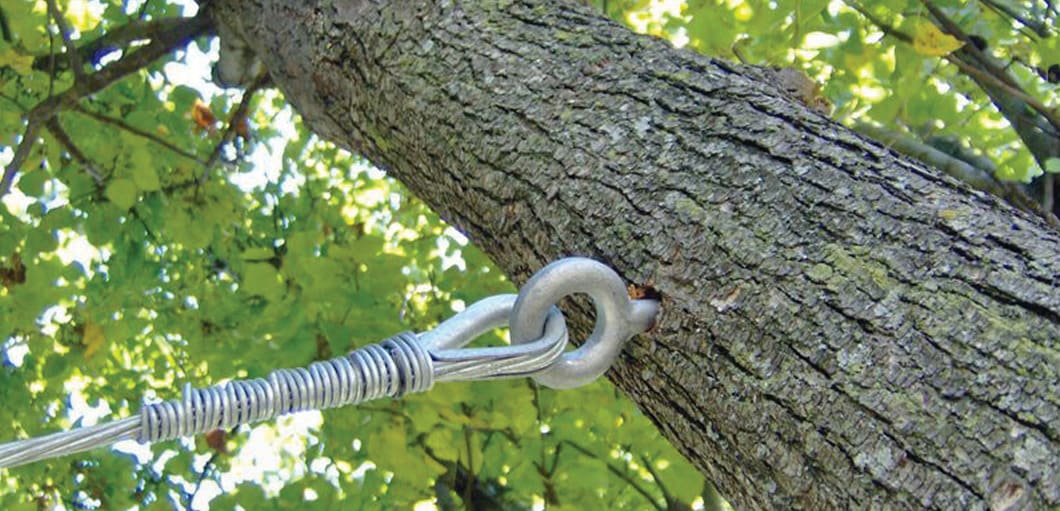 benefits of tree cabling​