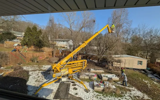 Tree and Shrub Pruning in Cleveland